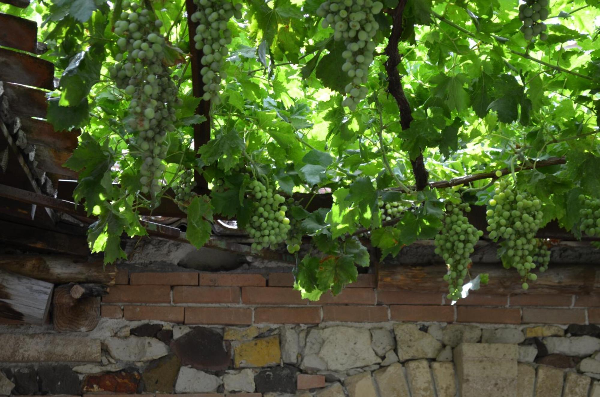 Agriturismo Il Melograno Riola Sardo Exterior foto